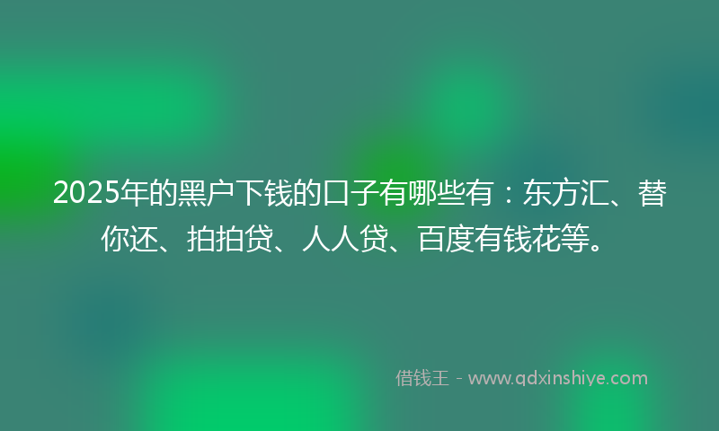 2025年的黑户下钱的口子有哪些有：东方汇、替你还、拍拍贷、人人贷、百度有钱花等。
