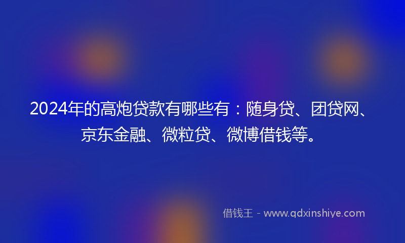 2024年的高炮贷款有哪些有：随身贷、团贷网、京东金融、微粒贷、微博借钱等。
