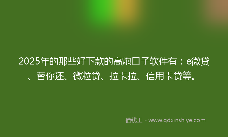 2025年的那些好下款的高炮口子软件有：e微贷、替你还、微粒贷、拉卡拉、信用卡贷等。
