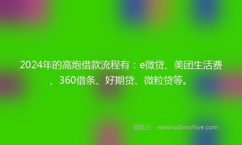 2024年的高炮借款流程有：e微贷、美团生活费、360借条、好期贷、微粒贷等。