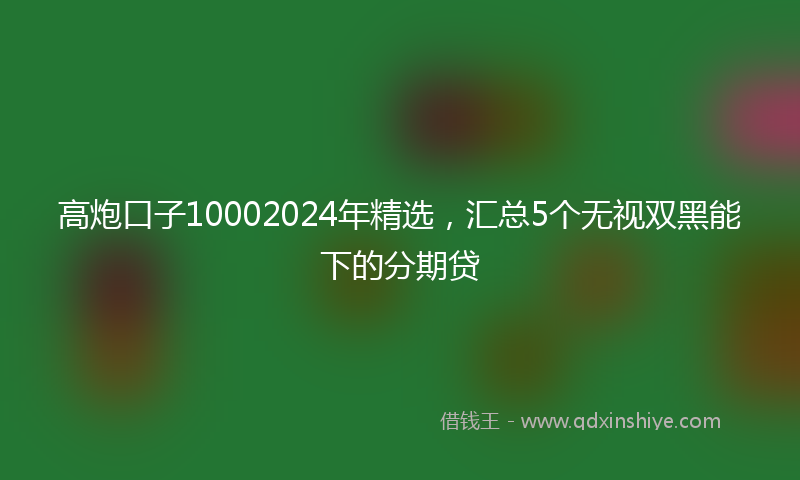 高炮口子10002024年精选，汇总5个无视双黑能下的分期贷