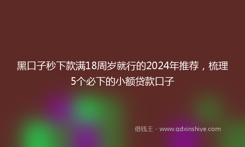 黑口子秒下款满18周岁就行的2024年推荐，梳理5个必下的小额贷款口子