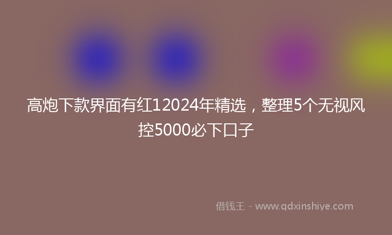 高炮下款界面有红12024年精选，整理5个无视风控5000必下口子