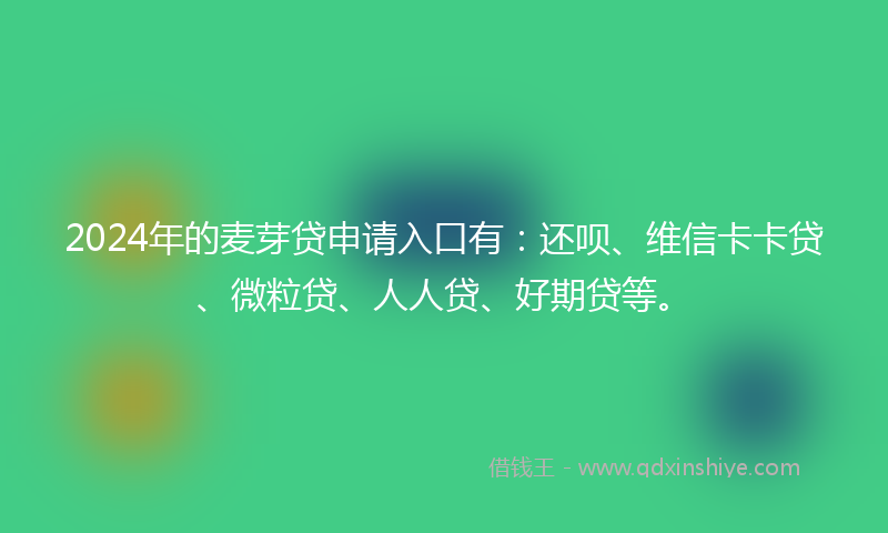 2024年的麦芽贷申请入口有：还呗、维信卡卡贷、微粒贷、人人贷、好期贷等。