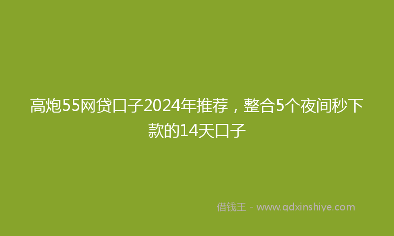 高炮55网贷口子2024年推荐，整合5个夜间秒下款的14天口子