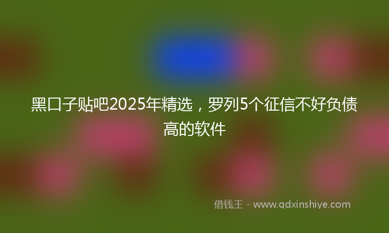 黑口子贴吧2025年精选，罗列5个征信不好负债高的软件
