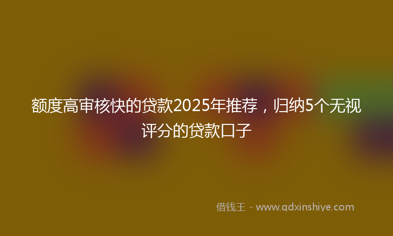 额度高审核快的贷款2025年推荐，归纳5个无视评分的贷款口子