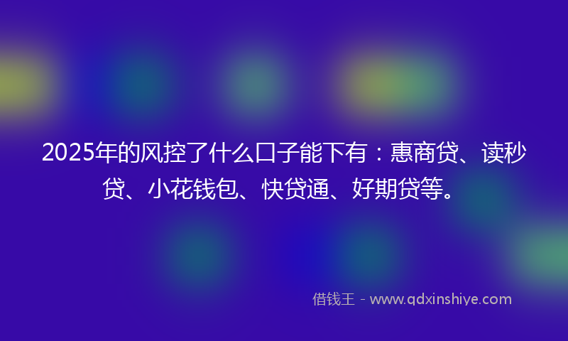 2025年的风控了什么口子能下有：惠商贷、读秒贷、小花钱包、快贷通、好期贷等。