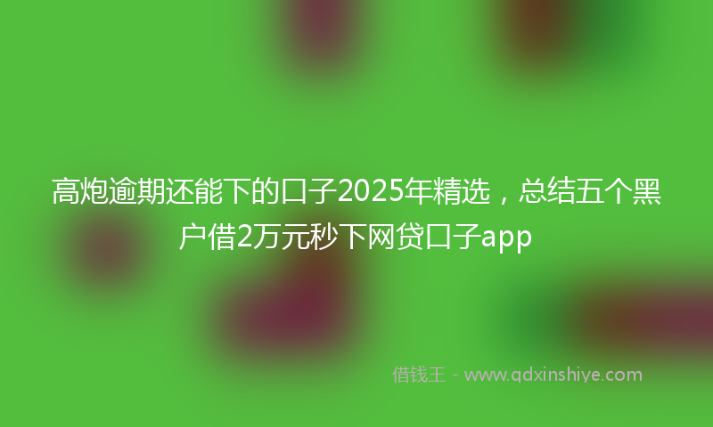 高炮逾期还能下的口子2025年精选，总结五个黑户借2万元秒下网贷口子app