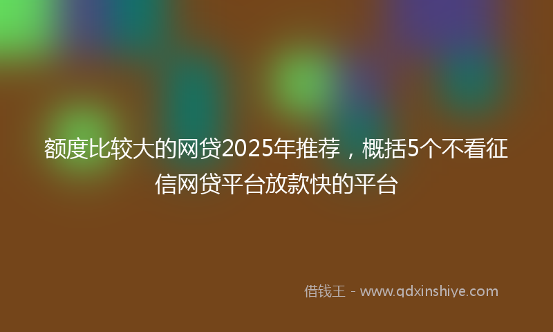 额度比较大的网贷2025年推荐，概括5个不看征信网贷平台放款快的平台