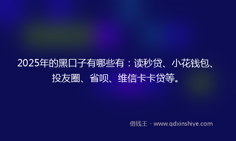 2025年的黑口子有哪些有：读秒贷、小花钱包、投友圈、省呗、维信卡卡贷等。
