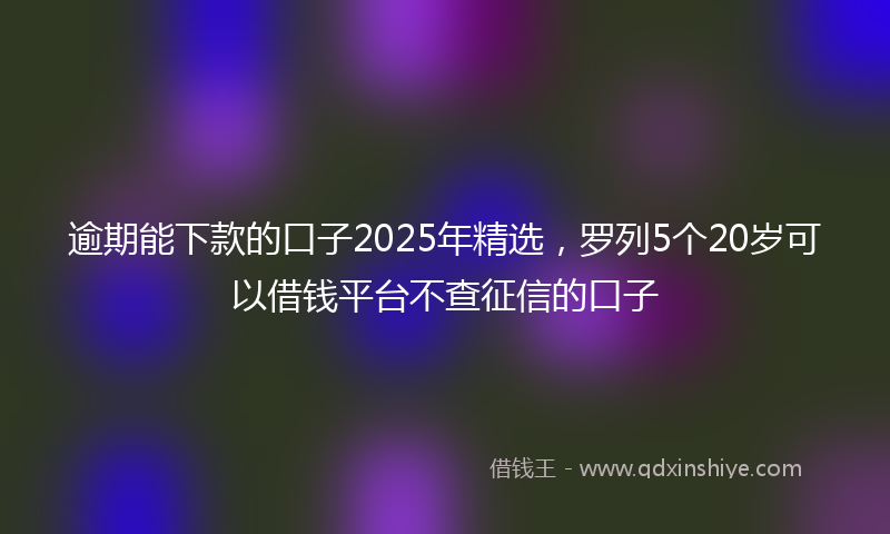 逾期能下款的口子2025年精选，罗列5个20岁可以借钱平台不查征信的口子