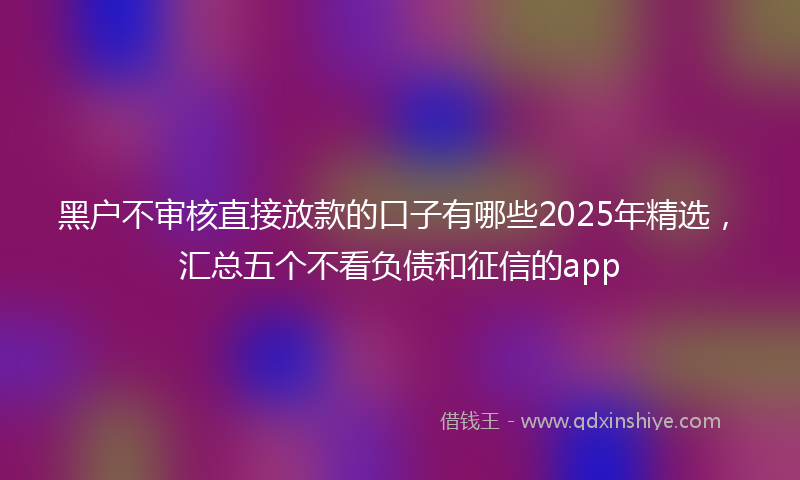 黑户不审核直接放款的口子有哪些2025年精选，汇总五个不看负债和征信的app