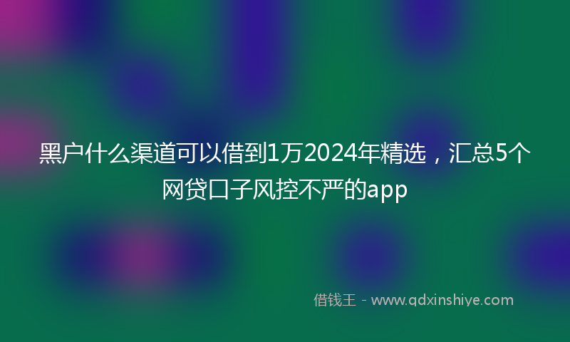 黑户什么渠道可以借到1万2024年精选，汇总5个网贷口子风控不严的app