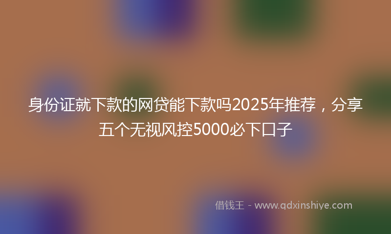 身份证就下款的网贷能下款吗2025年推荐，分享五个无视风控5000必下口子