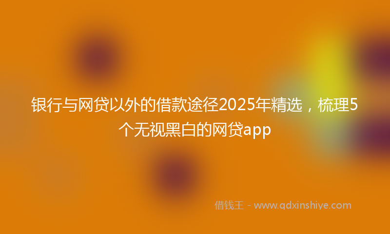 银行与网贷以外的借款途径2025年精选，梳理5个无视黑白的网贷app