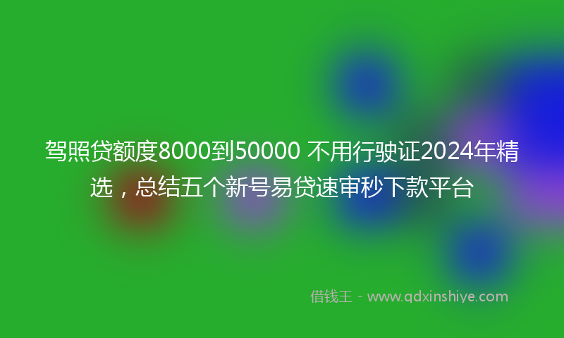 驾照贷额度8000到50000 不用行驶证2024年精选，总结五个新号易贷速审秒下款平台