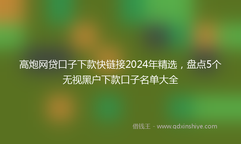 高炮网贷口子下款快链接2024年精选，盘点5个无视黑户下款口子名单大全