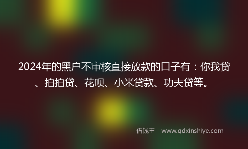 2024年的黑户不审核直接放款的口子有：你我贷、拍拍贷、花呗、小米贷款、功夫贷等。