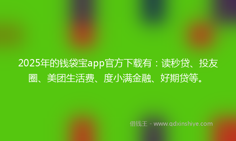 2025年的钱袋宝app官方下载有：读秒贷、投友圈、美团生活费、度小满金融、好期贷等。