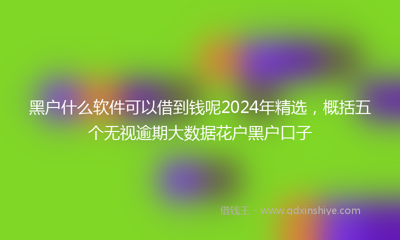 黑户什么软件可以借到钱呢2024年精选，概括五个无视逾期大数据花户黑户口子