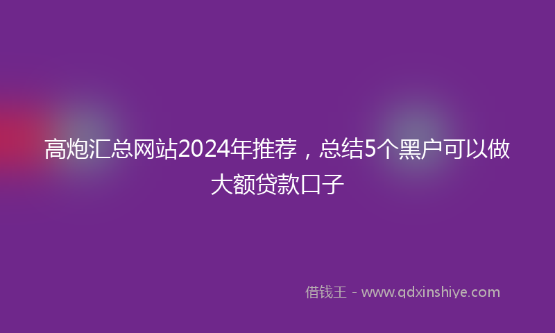 高炮汇总网站2024年推荐，总结5个黑户可以做大额贷款口子