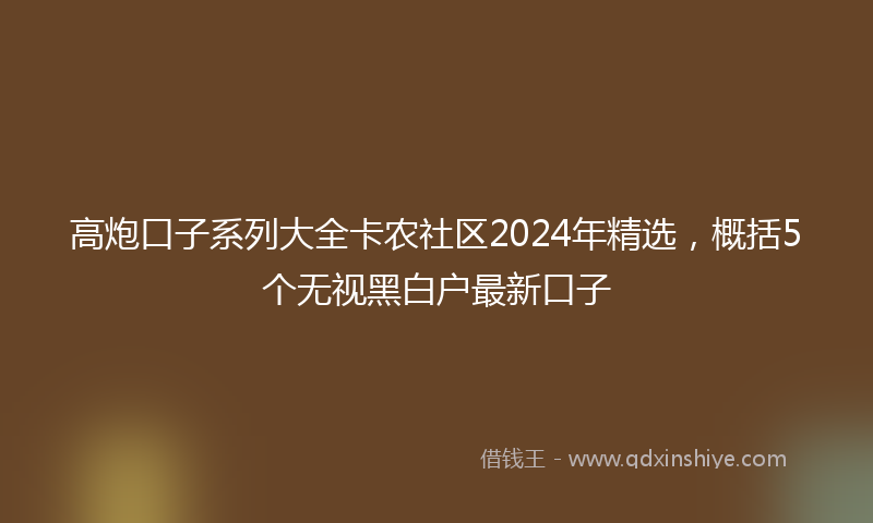 高炮口子系列大全卡农社区2024年精选，概括5个无视黑白户最新口子