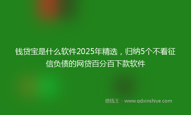 钱贷宝是什么软件2025年精选，归纳5个不看征信负债的网贷百分百下款软件