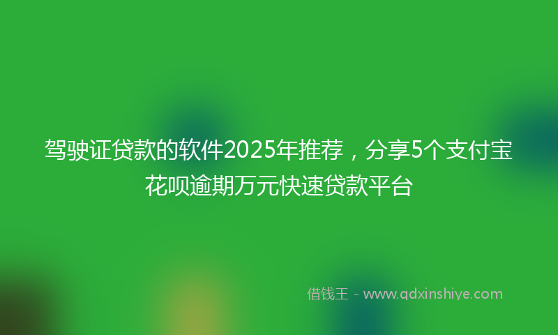 驾驶证贷款的软件2025年推荐，分享5个支付宝花呗逾期万元快速贷款平台