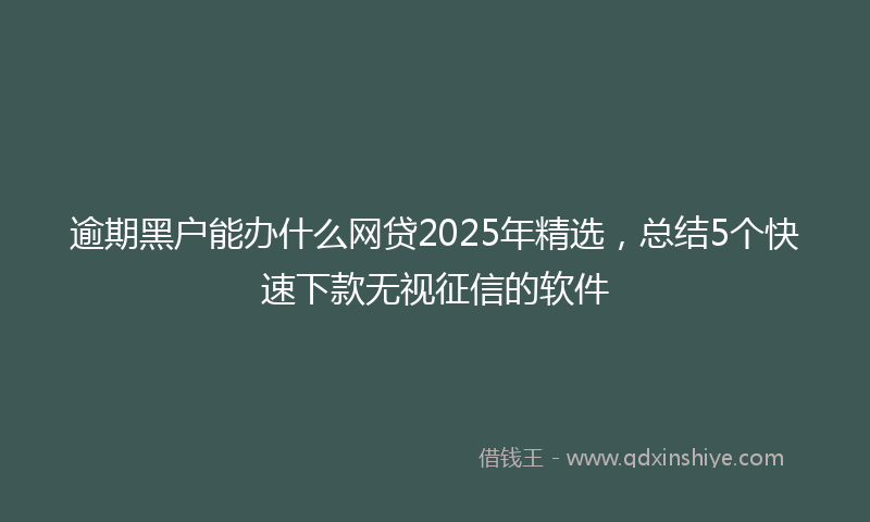 逾期黑户能办什么网贷2025年精选，总结5个快速下款无视征信的软件