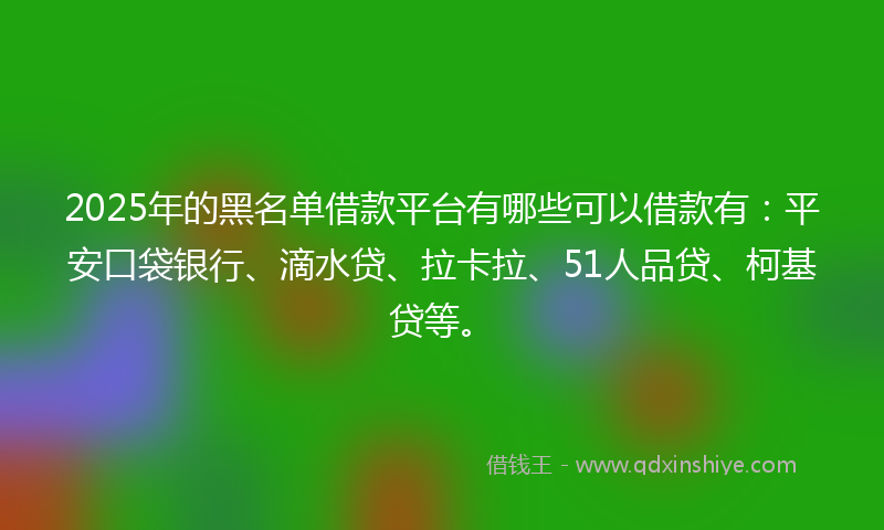 2025年的黑名单借款平台有哪些可以借款有：平安口袋银行、滴水贷、拉卡拉、51人品贷、柯基贷等。