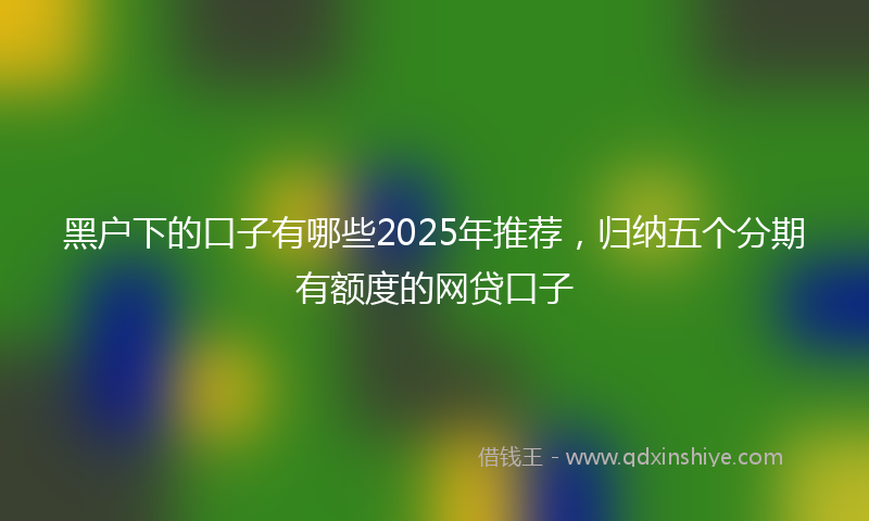 黑户下的口子有哪些2025年推荐，归纳五个分期有额度的网贷口子