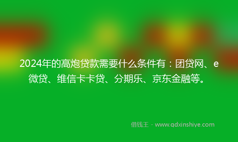 2024年的高炮贷款需要什么条件有：团贷网、e微贷、维信卡卡贷、分期乐、京东金融等。