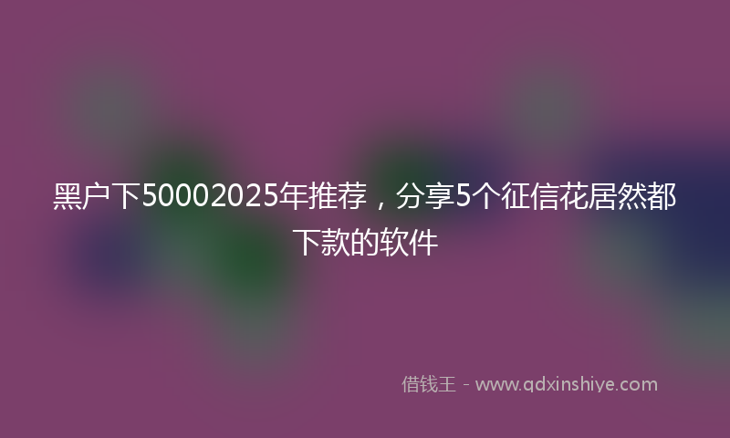 黑户下50002025年推荐，分享5个征信花居然都下款的软件