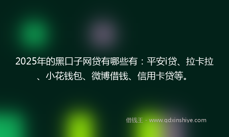 2025年的黑口子网贷有哪些有：平安i贷、拉卡拉、小花钱包、微博借钱、信用卡贷等。