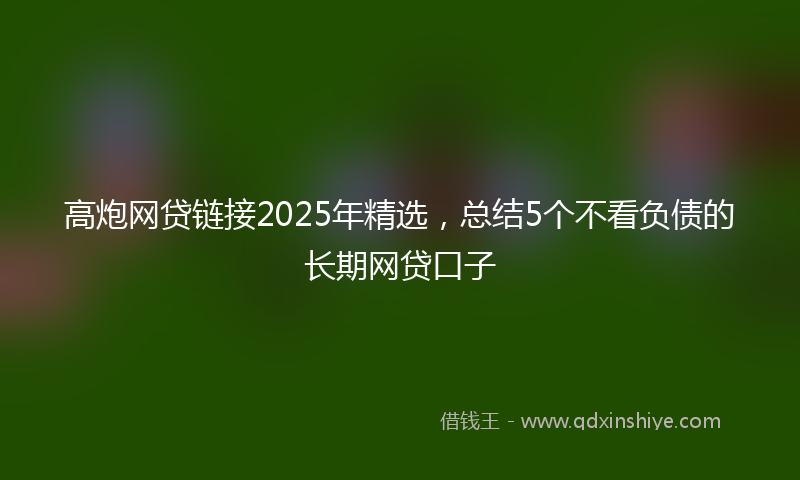 高炮网贷链接2025年精选，总结5个不看负债的长期网贷口子