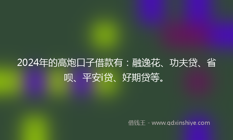 2024年的高炮口子借款有：融逸花、功夫贷、省呗、平安i贷、好期贷等。