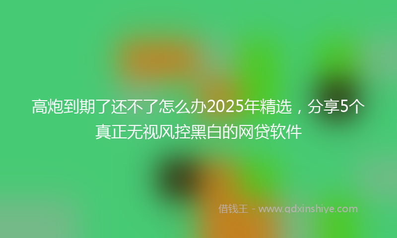 高炮到期了还不了怎么办2025年精选，分享5个真正无视风控黑白的网贷软件