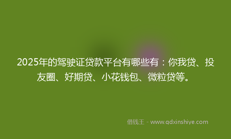 2025年的驾驶证贷款平台有哪些有：你我贷、投友圈、好期贷、小花钱包、微粒贷等。