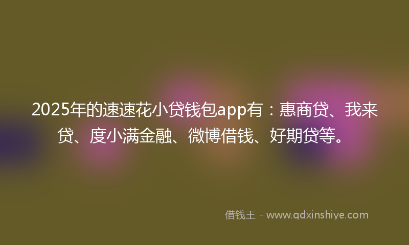 2025年的速速花小贷钱包app有：惠商贷、我来贷、度小满金融、微博借钱、好期贷等。
