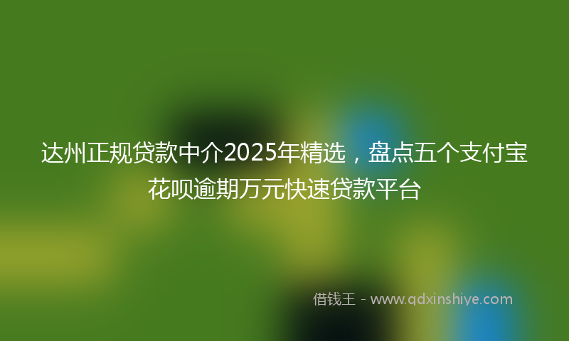 达州正规贷款中介2025年精选，盘点五个支付宝花呗逾期万元快速贷款平台