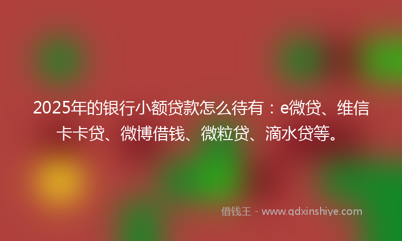 2025年的银行小额贷款怎么待有：e微贷、维信卡卡贷、微博借钱、微粒贷、滴水贷等。
