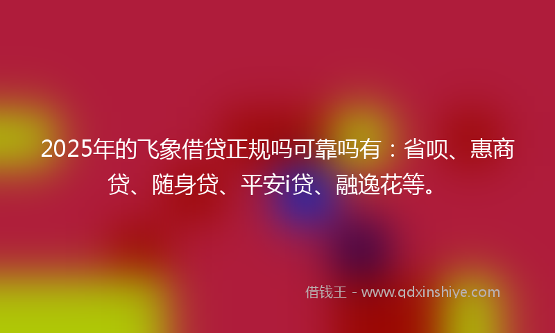 2025年的飞象借贷正规吗可靠吗有：省呗、惠商贷、随身贷、平安i贷、融逸花等。