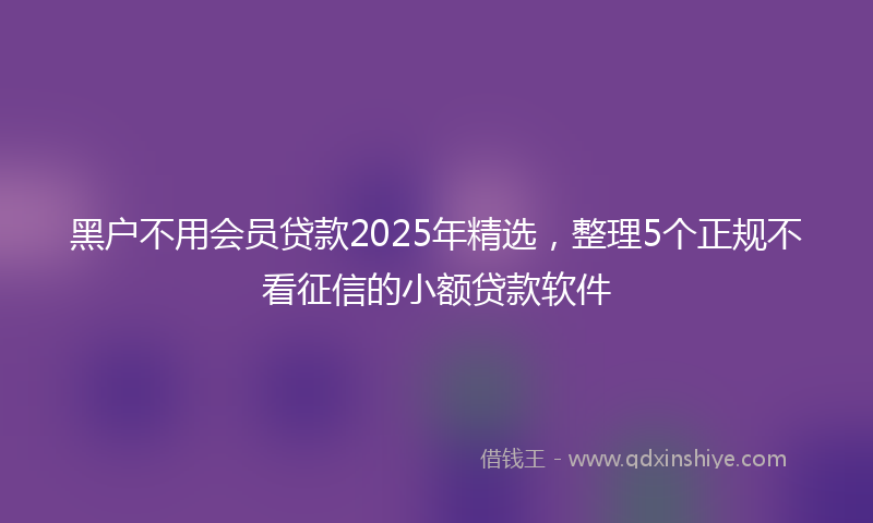 黑户不用会员贷款2025年精选，整理5个正规不看征信的小额贷款软件