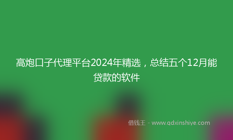 高炮口子代理平台2024年精选，总结五个12月能贷款的软件