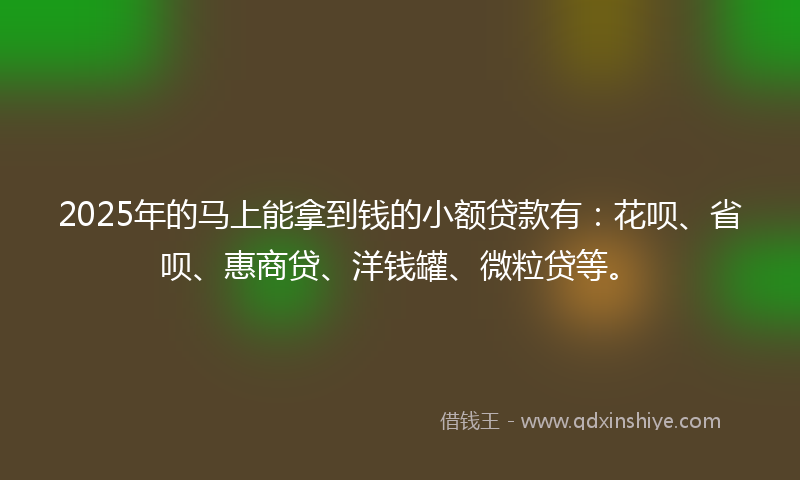 2025年的马上能拿到钱的小额贷款有：花呗、省呗、惠商贷、洋钱罐、微粒贷等。