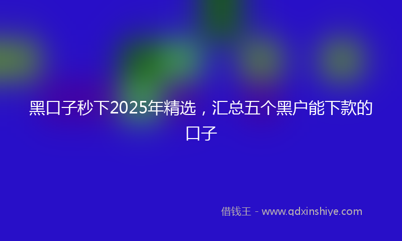 黑口子秒下2025年精选，汇总五个黑户能下款的口子