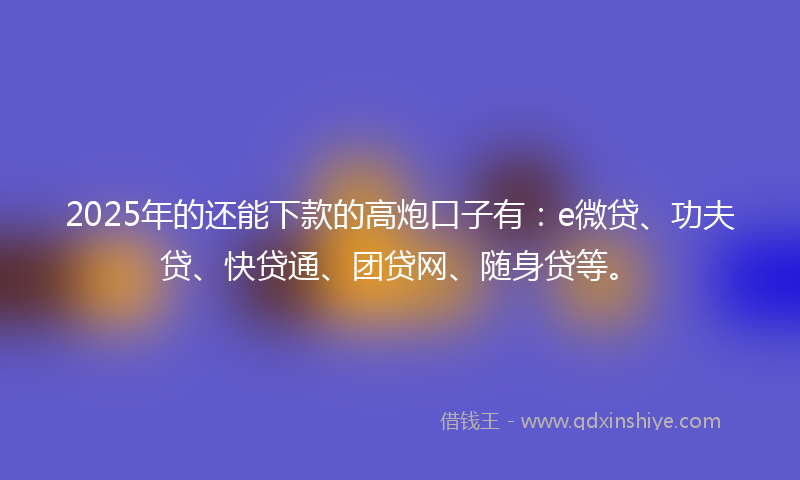 2025年的还能下款的高炮口子有：e微贷、功夫贷、快贷通、团贷网、随身贷等。