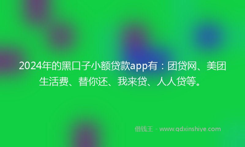 2024年的黑口子小额贷款app有：团贷网、美团生活费、替你还、我来贷、人人贷等。