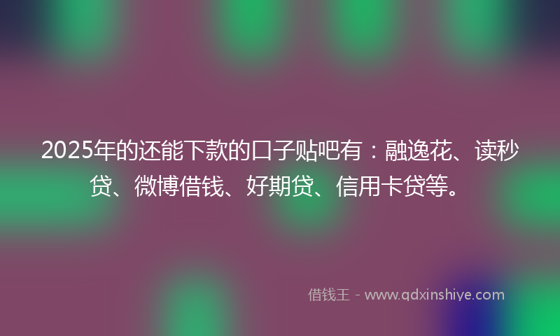 2025年的还能下款的口子贴吧有：融逸花、读秒贷、微博借钱、好期贷、信用卡贷等。